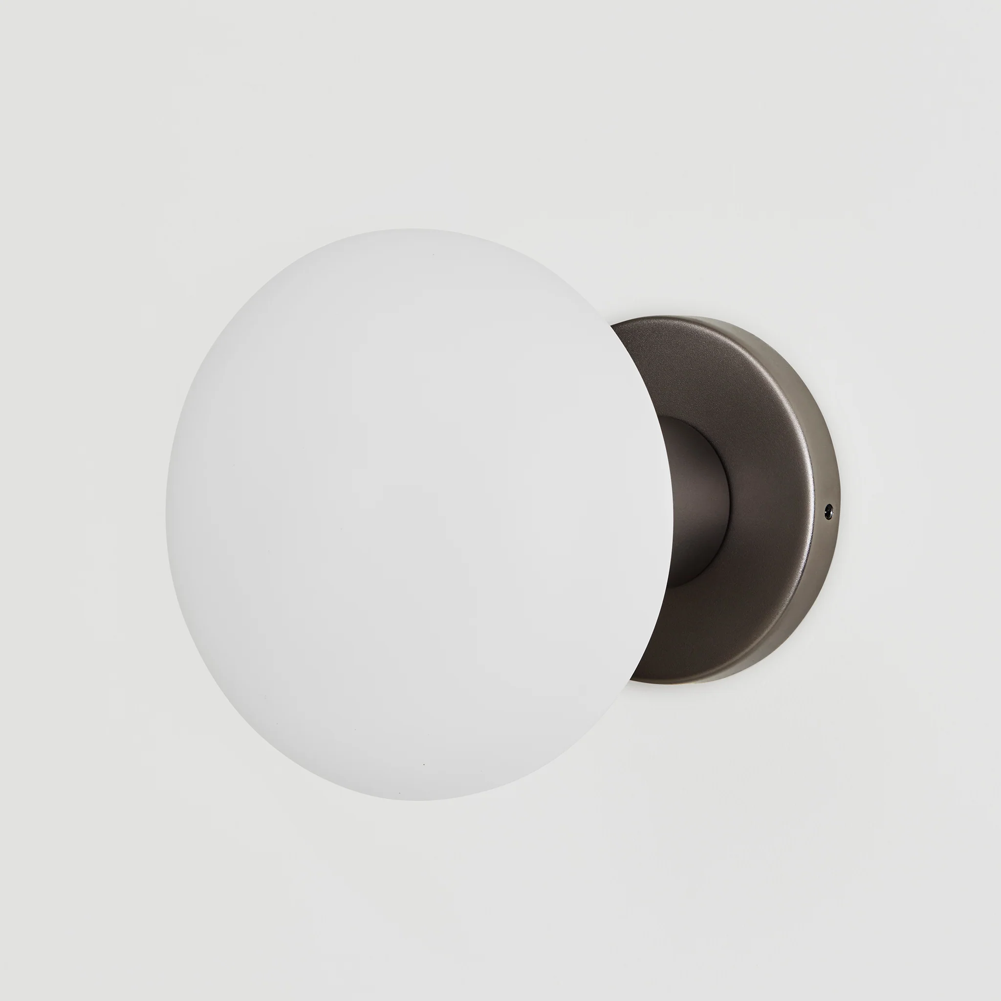 Lochan Wall Light in Graphite + Oval - Image 5