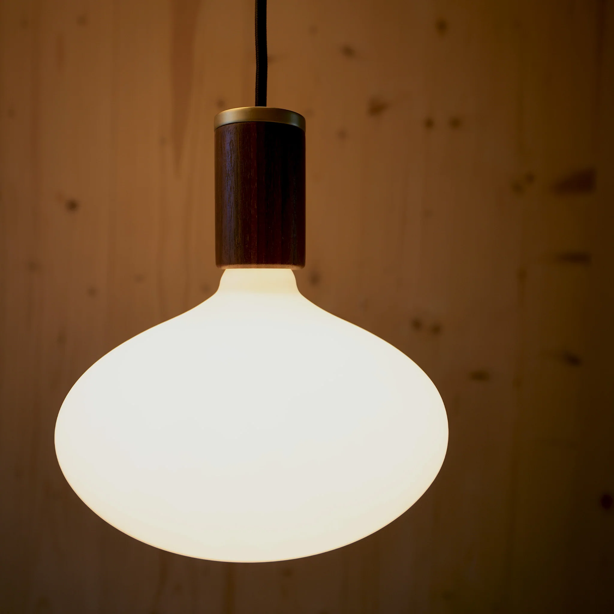 Oval II E27 Dim-to-Warm LED Bulb - Image 6