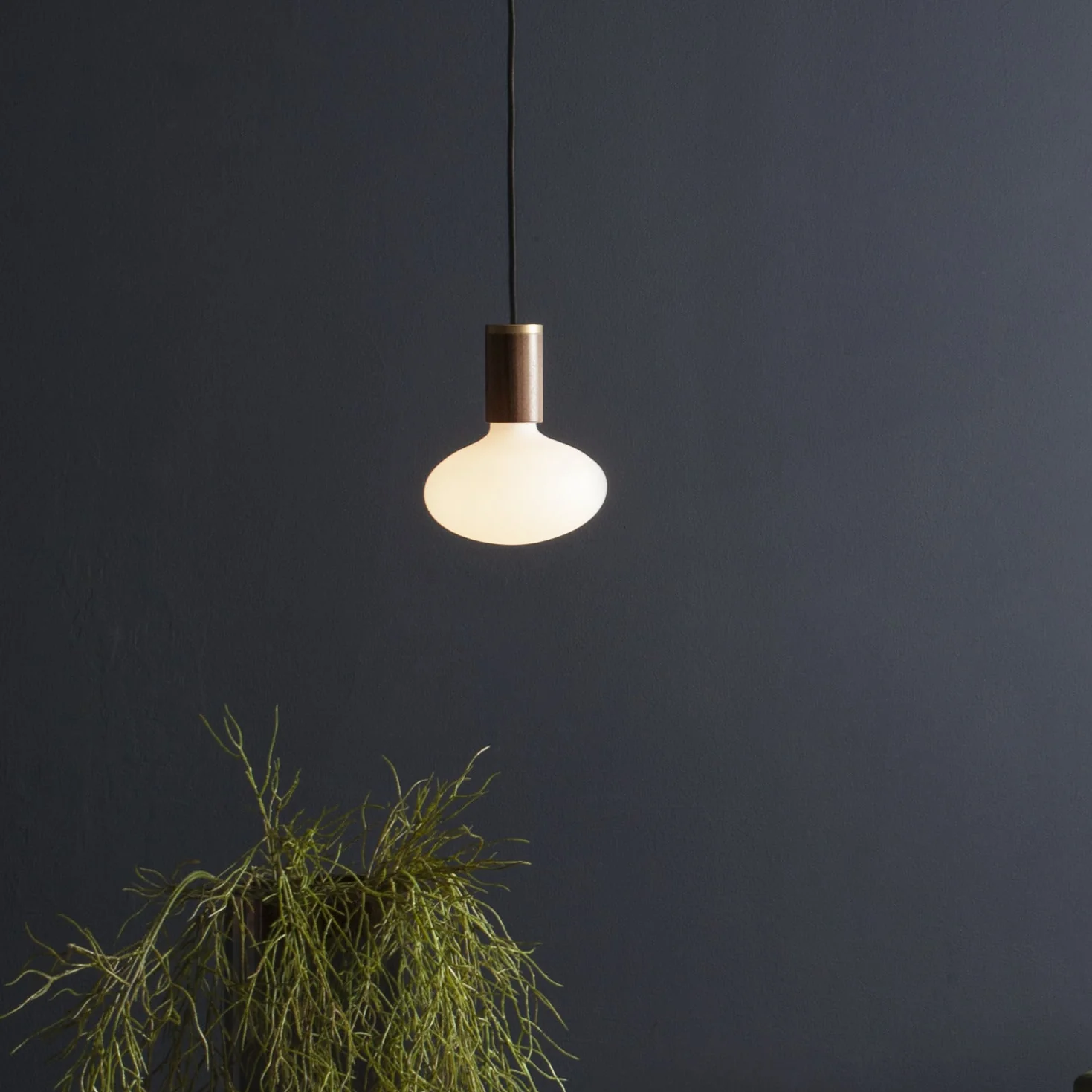 Oval II Pendant Light in Walnut - Image 2