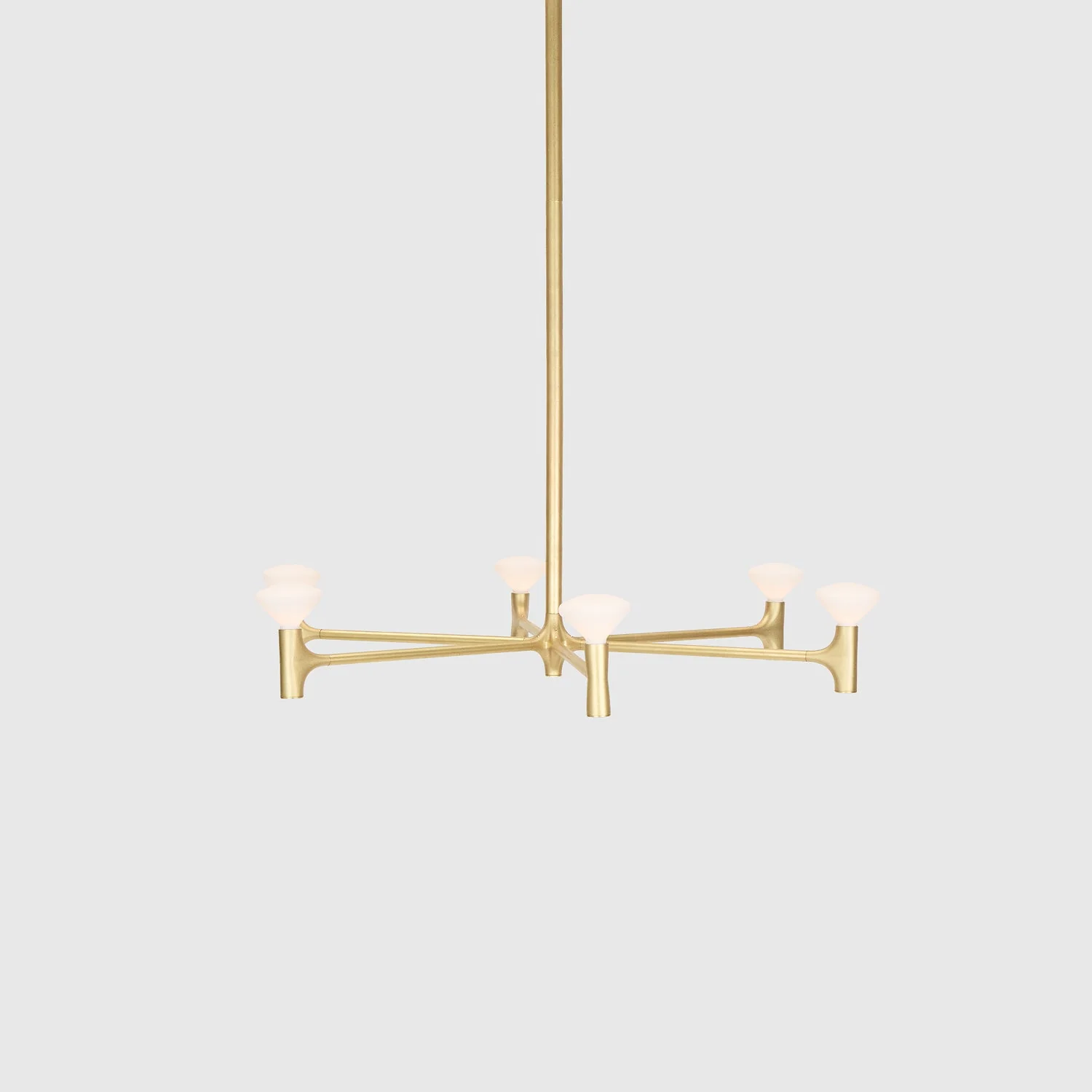Root One-Tier Chandelier